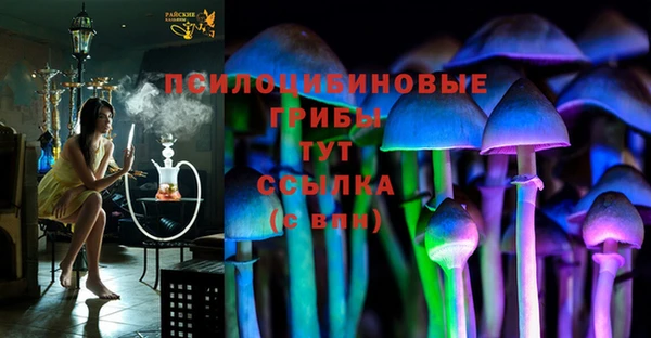 СК Алексеевка